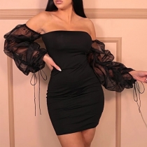 Sexy Off Shoulder Backless Mesh Long Sleeves Mini Bodycon Dress LD1517