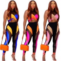 Women's Color Blocking Mesh Sexy Tank Top Trousers Two-Piece Set L313