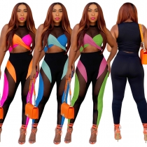 Perspective Women's Contrast Color Patchwork Mesh Sleeveless Pants Suit Sexy Casual Sportswear YY5345