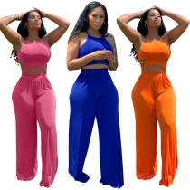 Solid color sexy top and trousers velvet two-piece set FE243