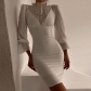 Winter new women's bell sleeves fungus edge stand collar fashion design slim temperament dress K21D09183
