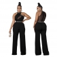Sleeveless halterneck black solid color mesh see-through jumpsuit professional commuter straight-leg pants CY9600
