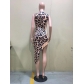 Leopard Print Unique Bevel Position Print Dress D8484