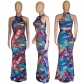 Fashion Colorful Feather Print Sleeveless Dress Z60889