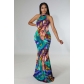 Fashion Colorful Feather Print Sleeveless Dress Z60889