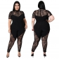 Solid Color Perspective Polyester Mesh Large Size Zipper Jumpsuit Women's One Piece Y10113