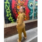 Casual loose plush lettered sweater suit H2229