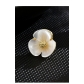 Mini anti stray buckle magnetic collar low remedy shell small flower brooch summer fine pin fixed clothes LXT0748H