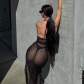 Mesh Sexy Perspective Split Fit Dress D3412524W