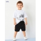 Cotton boys short sleeved two-piece set H22023